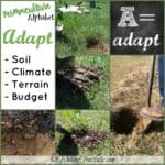 Adapt in Permaculture -Soil -Climate -Terrain -Budget