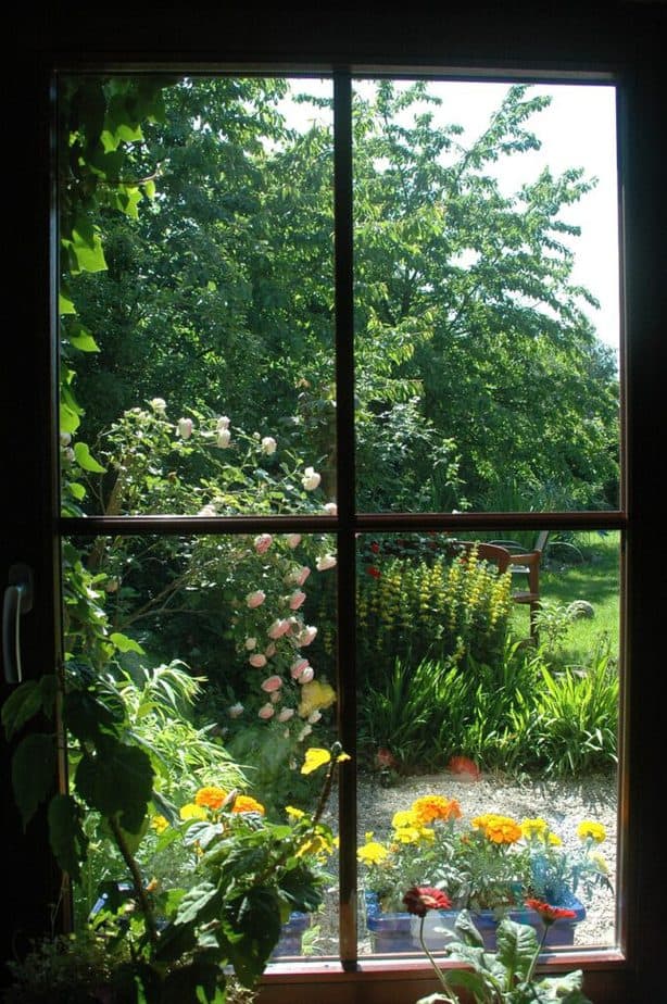 Looking through window to garden beyond