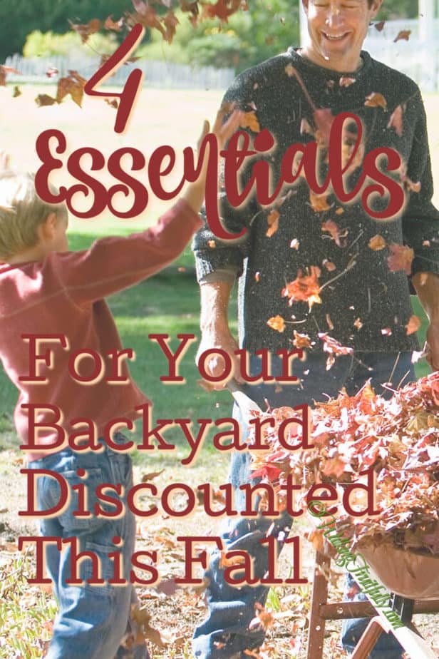 Man and boy falling leaves and wheelbarrow in backyard