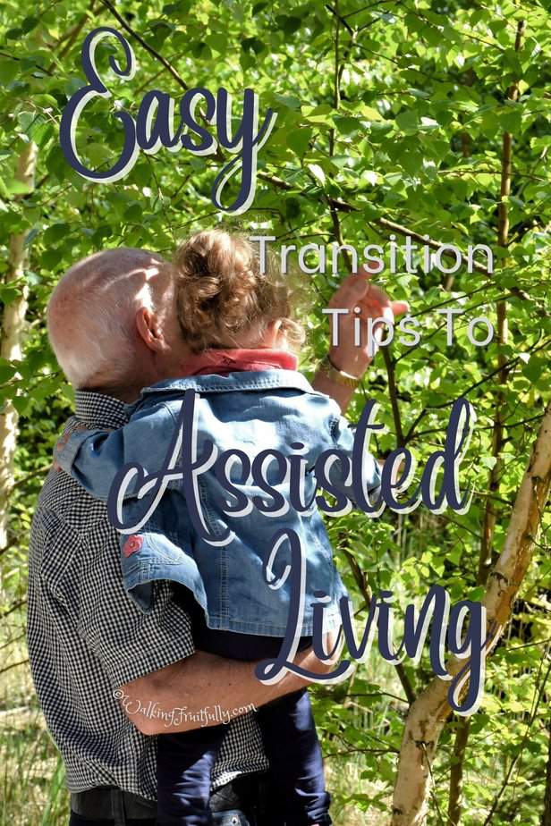 Grandpa holding grandchild looking at tree