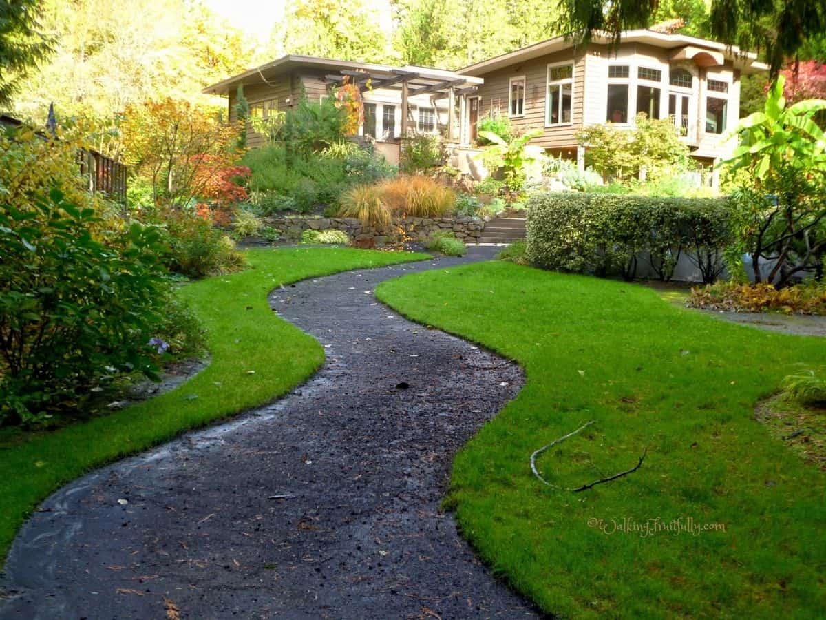 Dark pathway to house surrounded by lush lawn and colorful landscape plantings